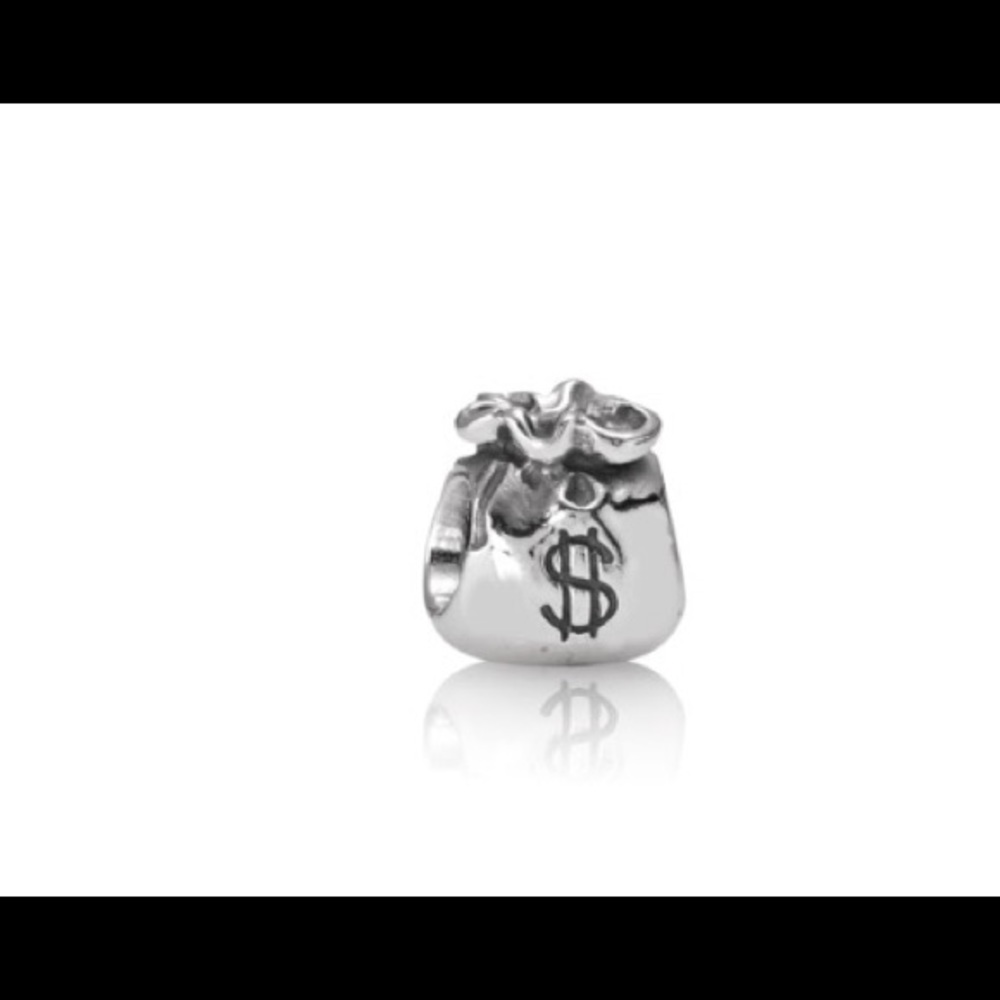 Moneybag charm